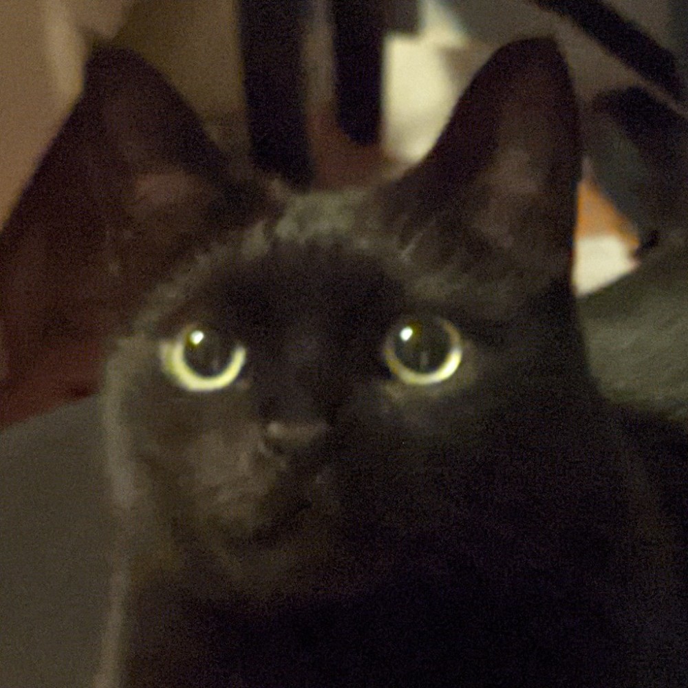 Meet your Posher, Persephone